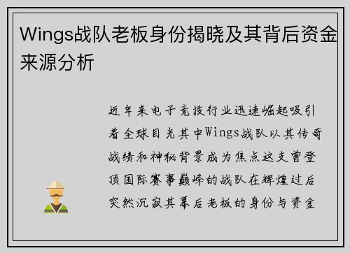 /uploads/images/20250808/wings-zhan-dui-lao-ban-shen-fen-jie-xiao-ji-qi-bei-hou-zi-jin-lai-yuan-fen-xi.webp